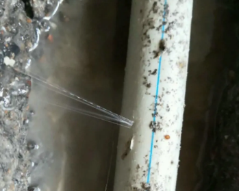咸丰卫生间测漏水多少钱