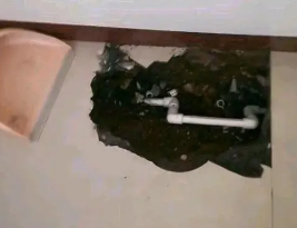 咸丰卫生间测漏水多少钱